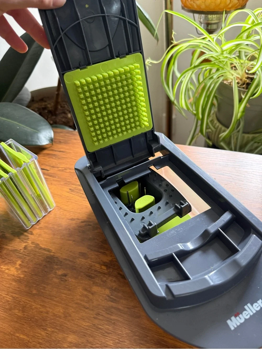 Mandoline Slicer and Interchangeable Blade Set - Green and Black